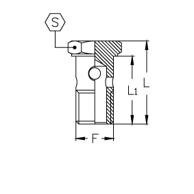 Фитинг для РВД BANJO BOLT BSP (дюймовый) 06VS02 F:1/8"-28|L:26|L1:21,5|S:14 - фото 125058