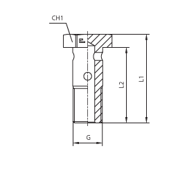 Фитинги для РВД BANJO BOLT BSP дюймовые 804801 CH1:14|G:1/8|L1:26|L2:21 - фото 125558