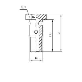 Фитинги для РВД BANJO BOLT метрические 804902 L1:31,5|L2:26|М:12x1.5 - фото 125566