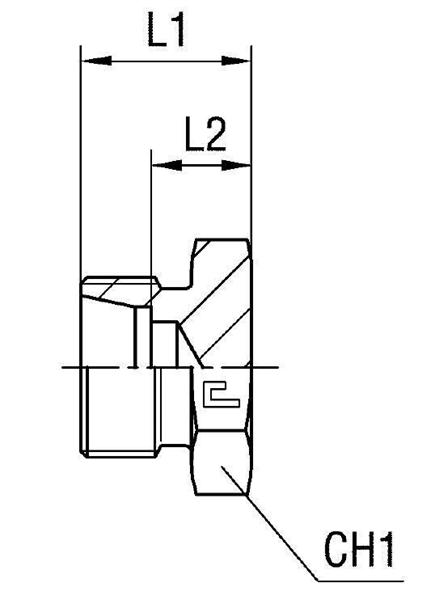 Заглушка V (Ш) DS06 (корпус) - фото 134857