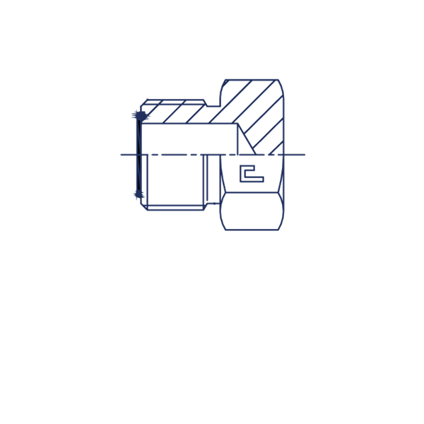 Заглушка V (Ш) ORFS 9/16 - фото 134867