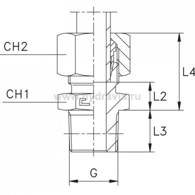 Ввертной штуцер FC DS12 BSPT 3/8" нержавеющий - фото 145253