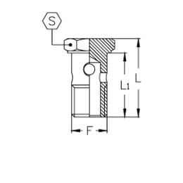 Фитинг для РВД BANJO BOLT BSP (дюймовый) 06VS04 F:1/4"-19|L:34,3|L1:29,5|S:19