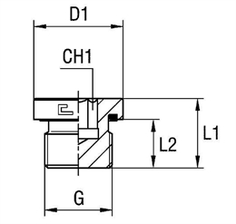 Заглушка VE (Ш) BSP 3/4