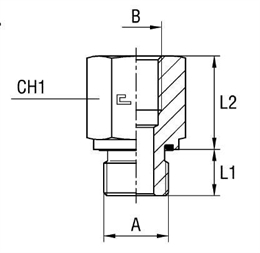 Соединение PFE BSP 1.1/4" BSP 1"