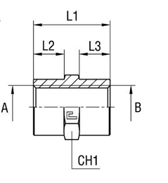 Соединение PS BSP 1/4" BSP 1/4"