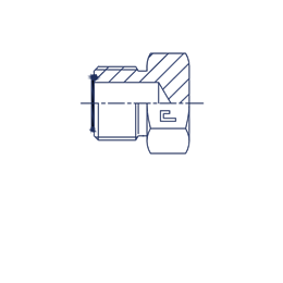Заглушка V (Ш) ORFS 1.11/16-12