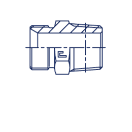 Штуцер FC BSP 2" NPT 2"