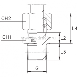 Ввертной штуцер FC DS16 BSP 1/2" нержавеющий