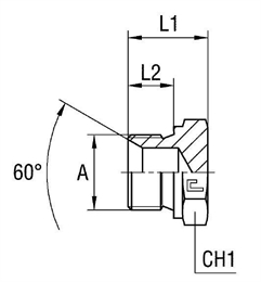 Резьбовая заглушка-пробка BSP 1-1/4" (Ш), артикул 307808